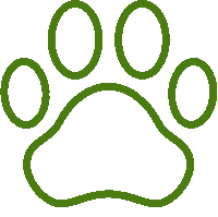 Paw